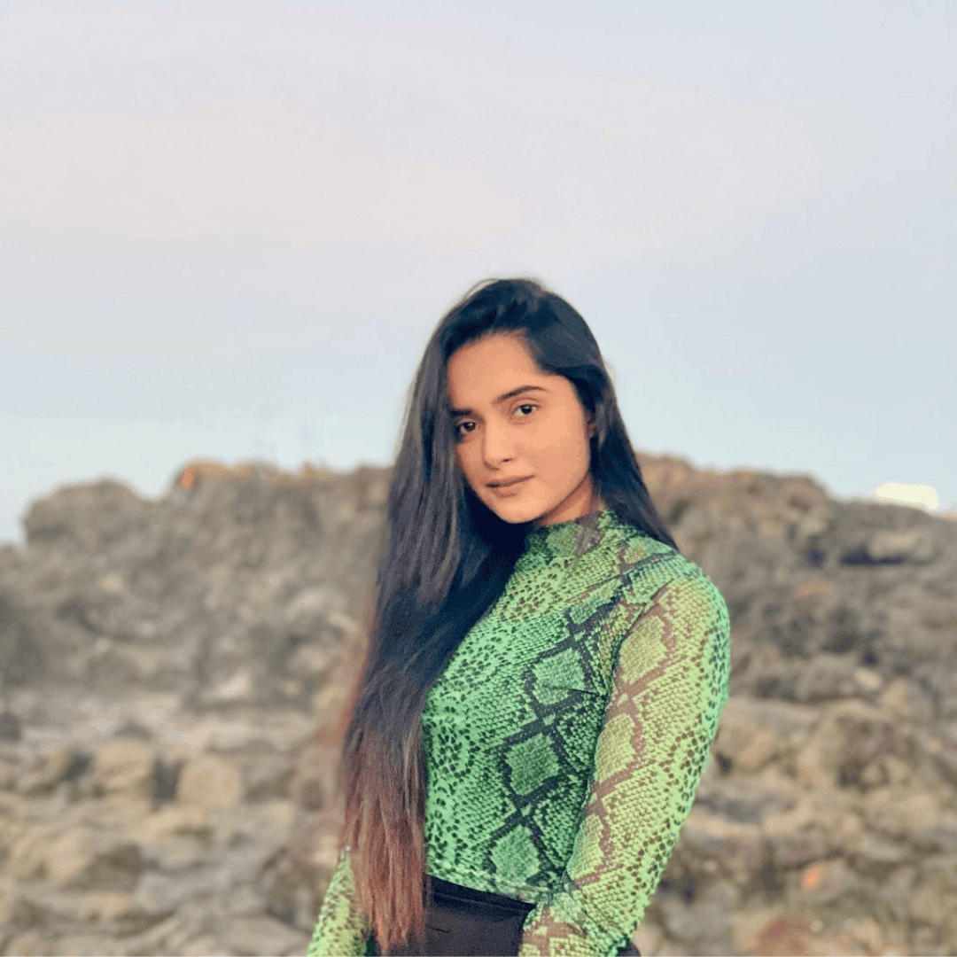 Printed Mesh Crop Top 2